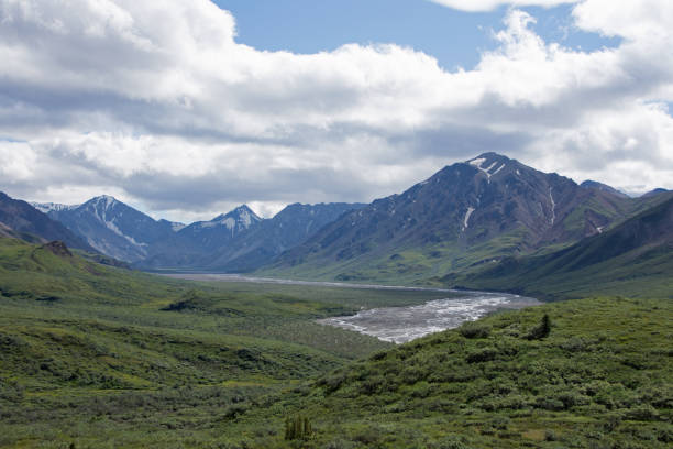 istock Denali National Park Green Transit Bus Tour 1025621416