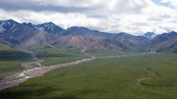 istock Denali National Park Green Transit Bus Tour 1025621508