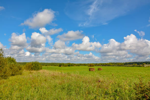 istock Summer cloudy day on a hay meadow. 1025621602