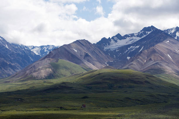 istock Denali National Park Green Transit Bus Tour 1025621616