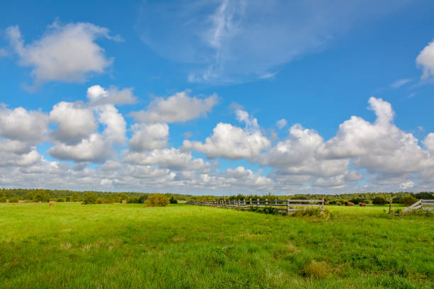 istock Summer cloudy day on a hay meadow. 1025621632