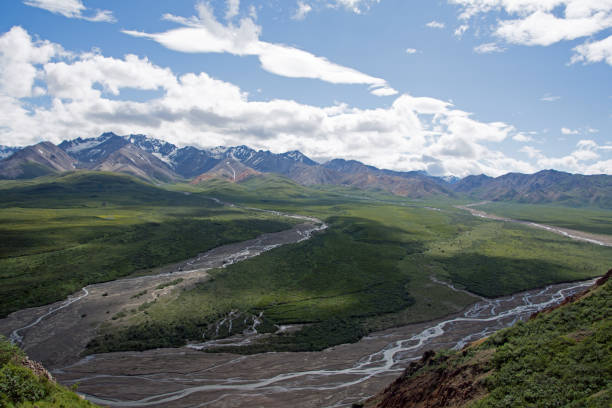 istock Denali National Park Green Transit Bus Tour 1025621666