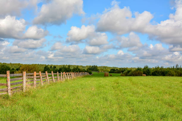 istock Summer cloudy day on a hay meadow. 1025621874