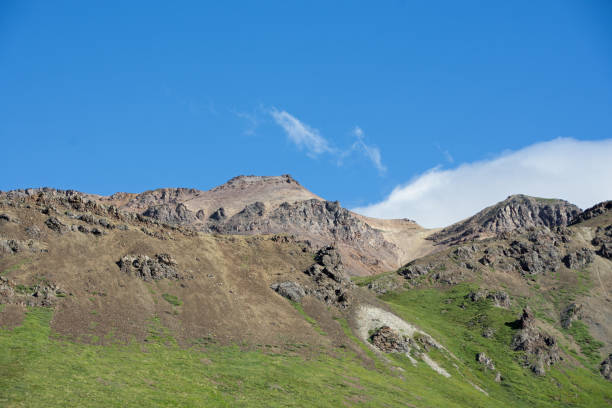istock Denali National Park Green Transit Bus Tour 1025621962