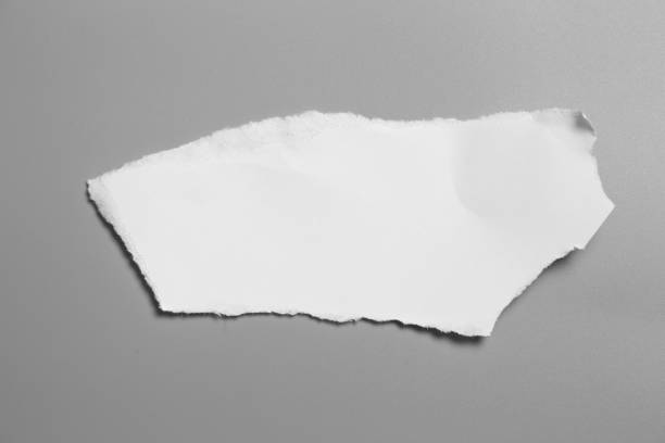 istock white torn paper on gray background. collection paper rip 1025641180