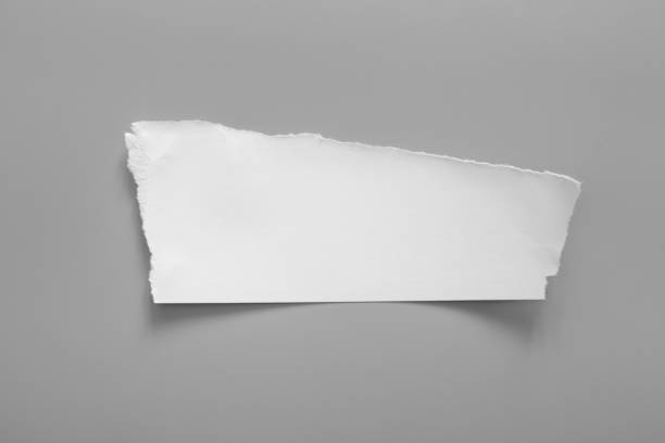 istock white torn paper on gray background. collection paper rip 1025641198