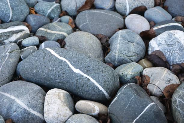 istock Closeup of gray pebbles with white stripes 1025651760