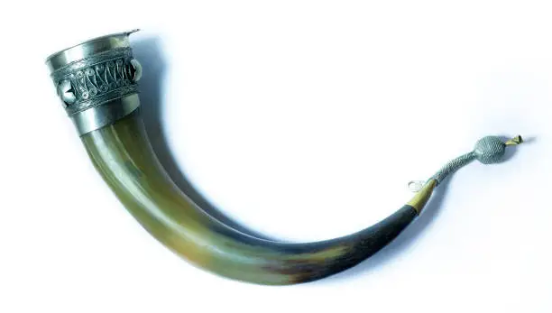 Photo of Horn for wine