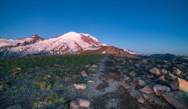 istock Sunrise At Mt Rainier 1025666312