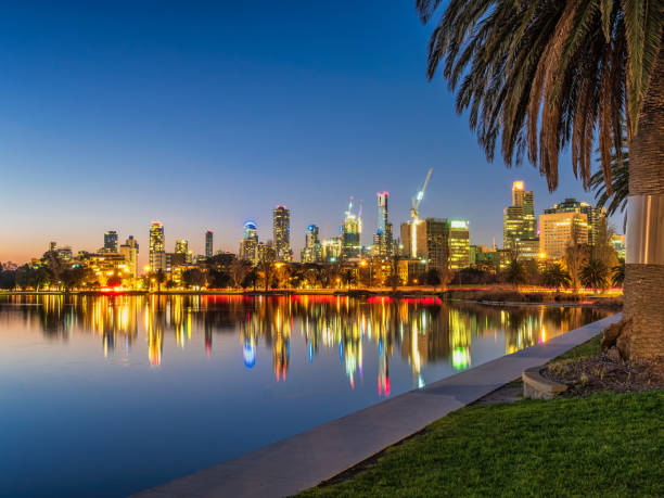 A palm tree frames the stunning Melbourne skyline reflected in Albert Park Lake.