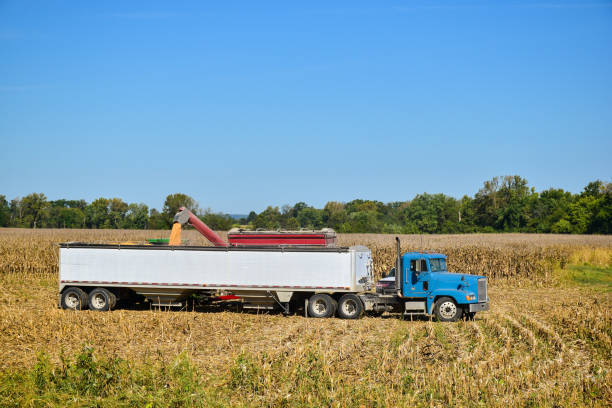 istock Tractor emptying its load of harvested corn 1025670736