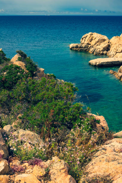 istock Vintage landscape La Maddalena 1025685068