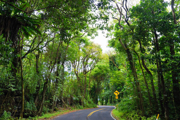 famous route à hana empreint de ponts d’une voie étroites, virages et une vue incroyable de l’île, maui, hawaii - hawaii islands hana maui curve photos et images de collection