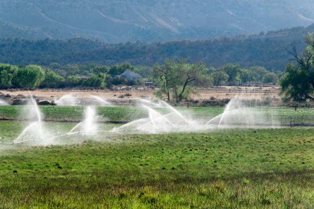 istock Irrigation system on farm field in southwest, USA 1025706218