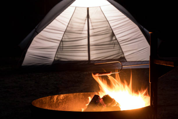istock Delicious sausage roasted on the campfire in the summer forest 1025708952