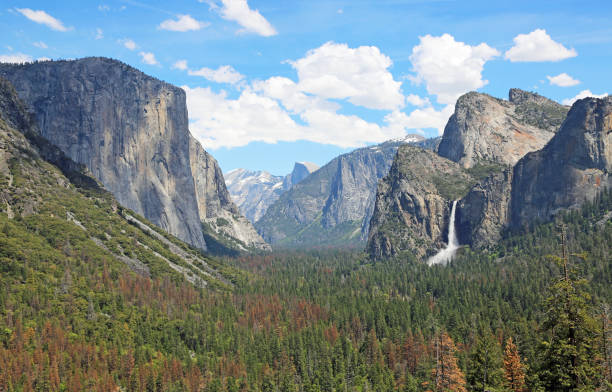 istock Tunnel view at El Capitan and Yosemite Valley 1025713400