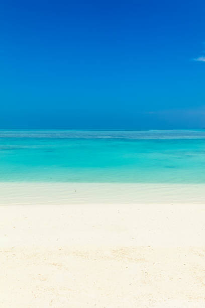 Landscape coral reef. Snorkeling and Scuba diving location. Beautiful sea life.  Red sea