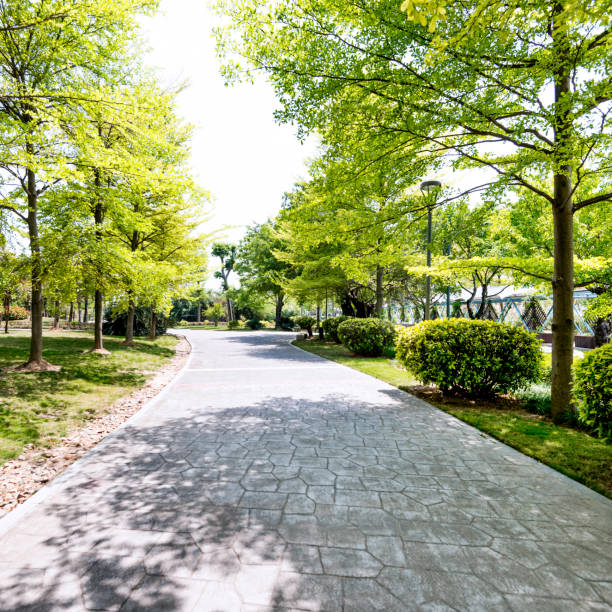 istock Paving stone in the formal garden 1025725772