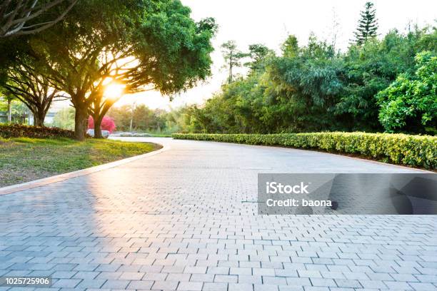 Empty Brick Road In The Park Stock Photo - Download Image Now - Public Park, Natural Parkland, Backgrounds
