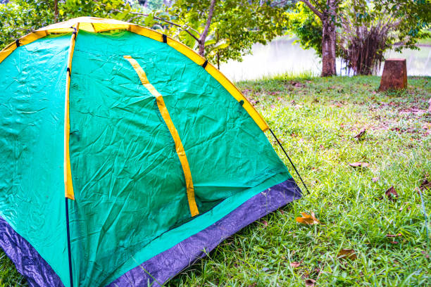 istock Green Tent Spreads on Green Lawn 1025728232