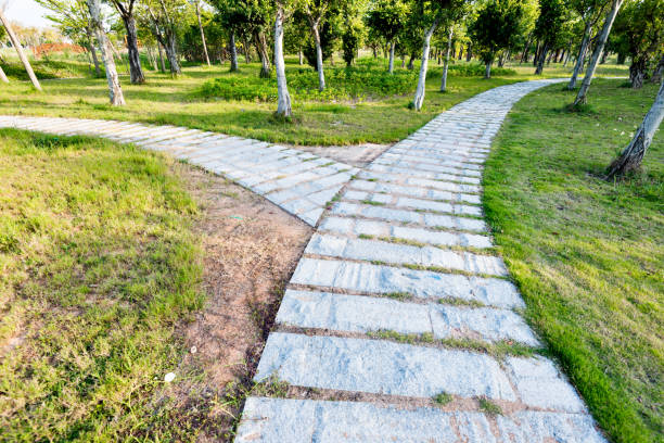 The shadow of trees on a gray stone-tiled road. Abstract summer background.