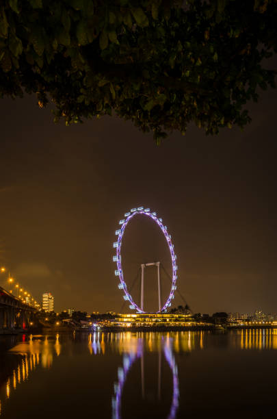 Singapore Ferris Wheel during night with reflection of its lights on water.