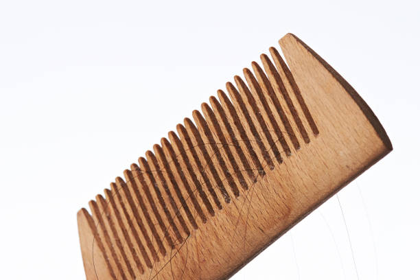 Lost hair in wooden brush comb isolated on white background. Loosing hair theme