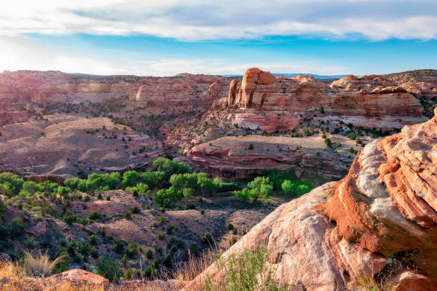 Colorful rocks near Capitol Reef National Park in USA Colorful rocks near Capitol Reef National Park in USA capitol reef national park stock pictures, royalty-free photos & images