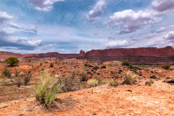 istock Capitol Reef National Park, Utah, USA 1025739514