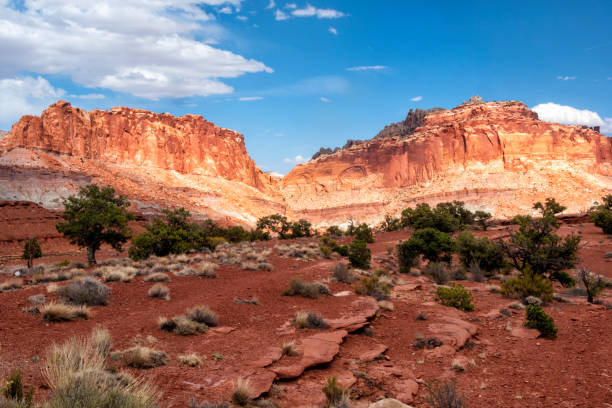 istock Capitol Reef National Park, Utah, USA 1025739920