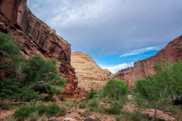 istock Capitol Reef National Park, Utah, USA 1025739990
