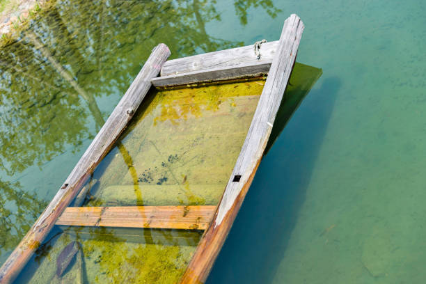istock Old wooden boat in pond 1025745068