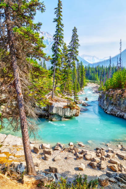 istock Marble Canyon at Kootenay near Banff, Canada 1025749716