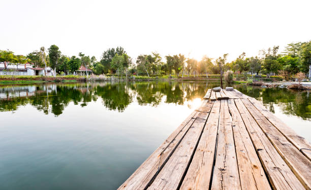 istock Wooden footpath over the lake in public park 1025750000