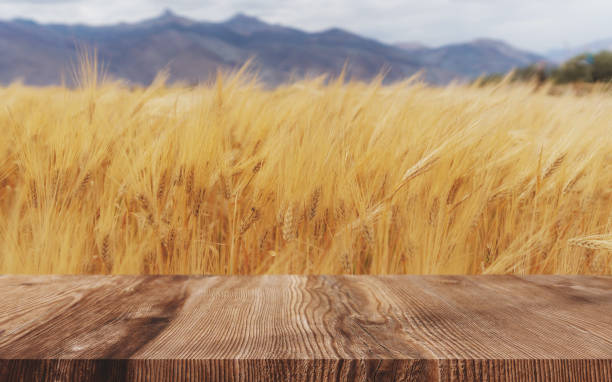 пшеничные уши полевой фон, спелая пшеница урожай с деревянным полом - ripe wheat стоковые фото и изображения
