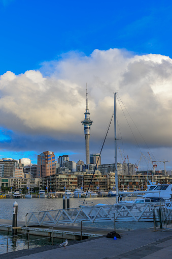Auckland Viaduct Basin, shot in the late afternoon, with the Sky Tower in the background, and the water and boats and clouds.