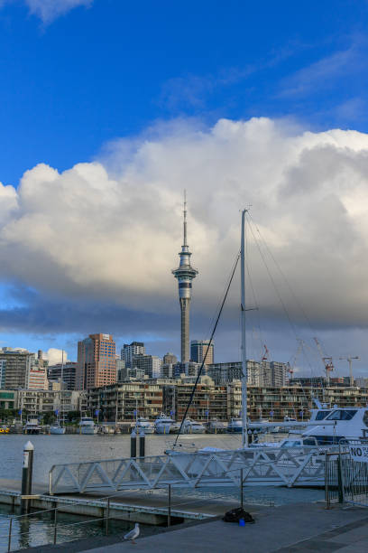 istock Auckland, Viaduct Basin, marina. 1025760164