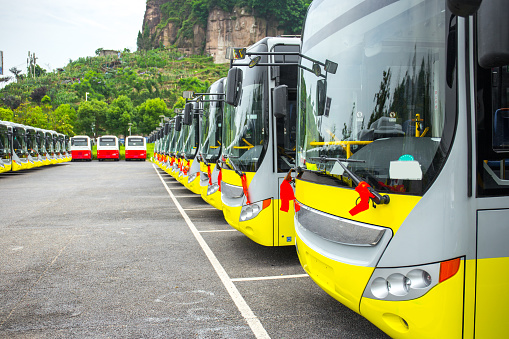A large number of new electric buses parked in the parking lot