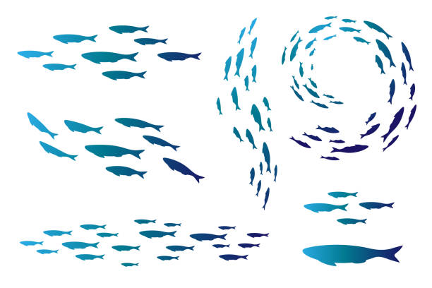 illustrazioni stock, clip art, cartoni animati e icone di tendenza di colonia di pesci di mare o d'acquario che nuotano. gruppo di silhouttes . - school of fish