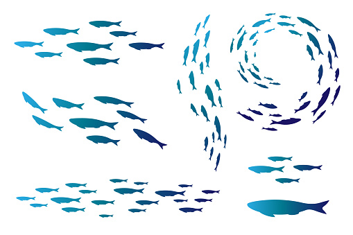 Colony of swiming sea or aquarium fishes. Group of color silhouettes . Collection of isolated vector decoration.