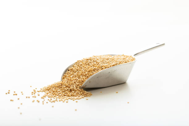 Quinoa in a metallic scoop on white background