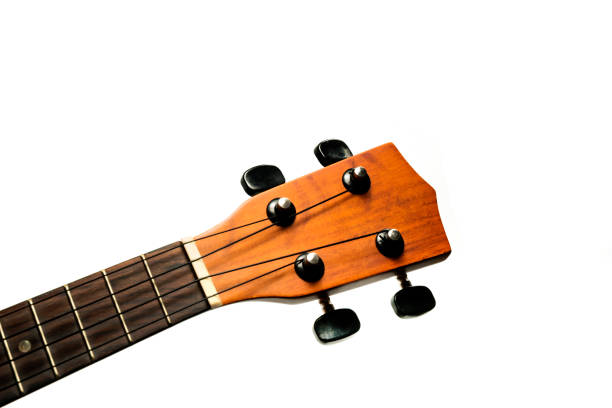 istock The brown ukulele on the white background, 1025782070