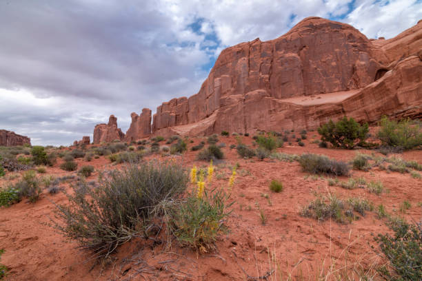 istock Arches National Park, Moab, Utah 1025784528