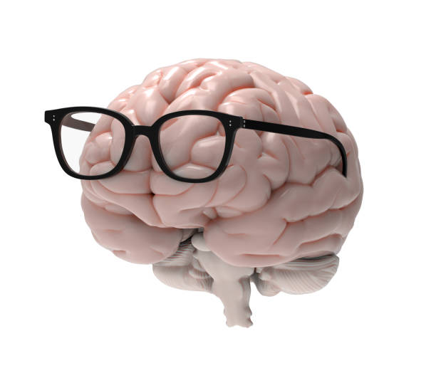 istock 3D brain and glasses illustration 1025787044