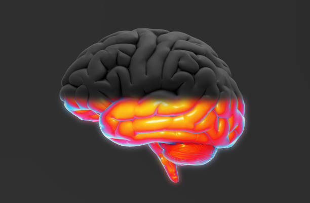 istock Human brain illustration half with color on dark BG 1025787052