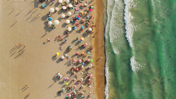 istock Aerial View of a Beach in Summer 1025794822