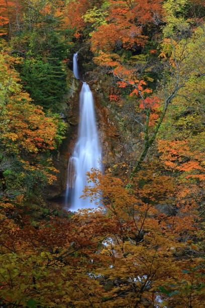 istock Falls of Autumn leaves 1025802370