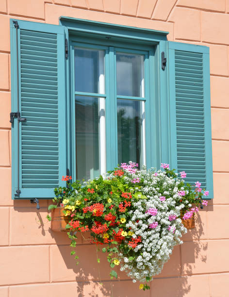 istock Window with a sun blind and flowers 1025802396
