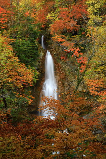 istock Falls of Autumn leaves 1025812276