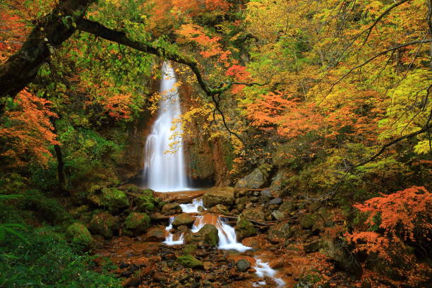 chutes de autumn leaves - parc national de towada hachimantai photos et images de collection